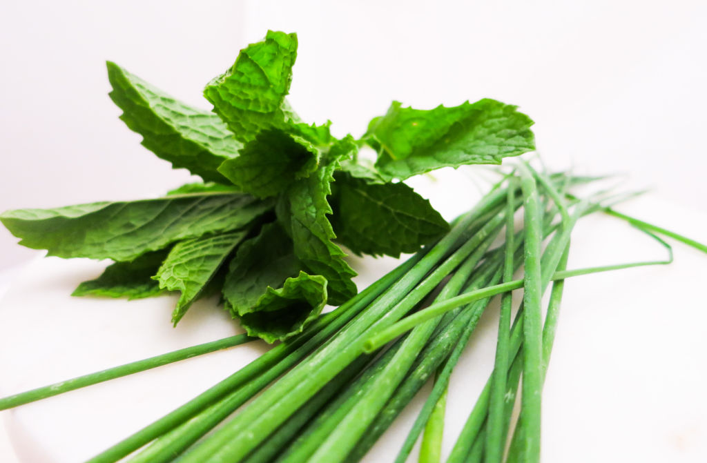 FRESH MINT AND CHIVES ARE A MUST FOR THIS RECIPE!