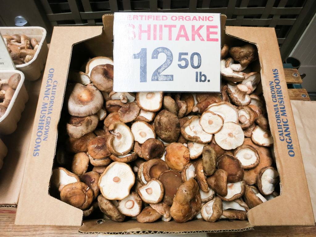Beautiful Bulk Organic Californian Shiitake Mushrooms