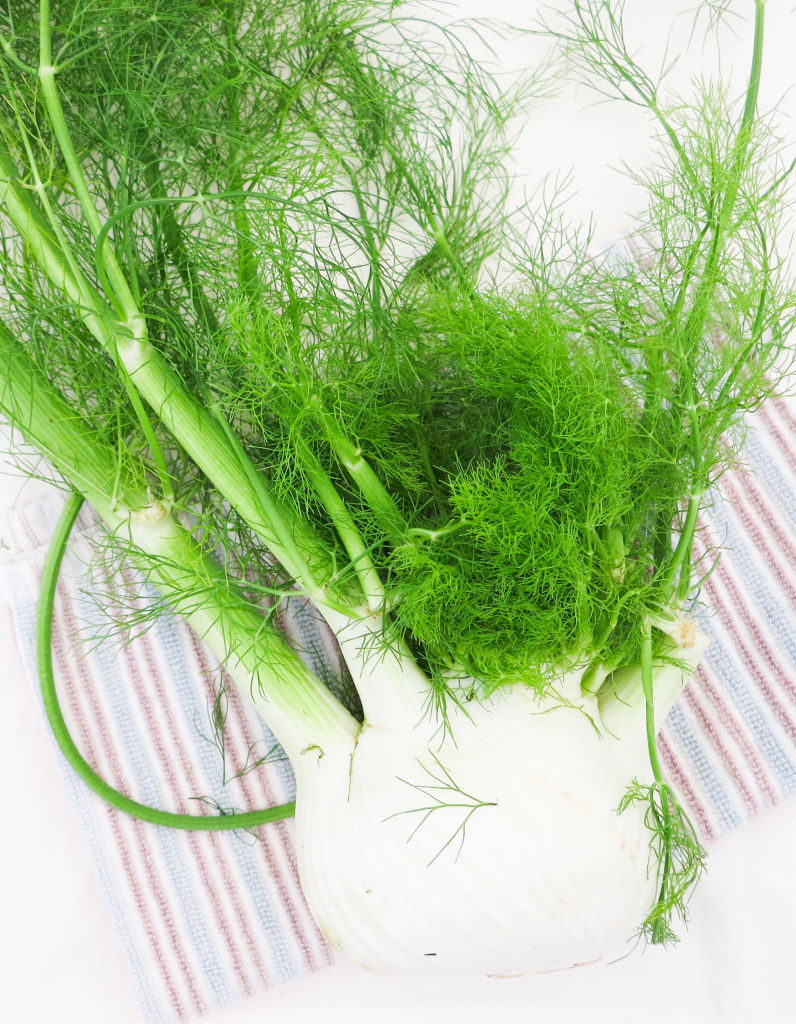 Fennel is a strong anti inflammatory and can help relieve sore throats & sinus infections.