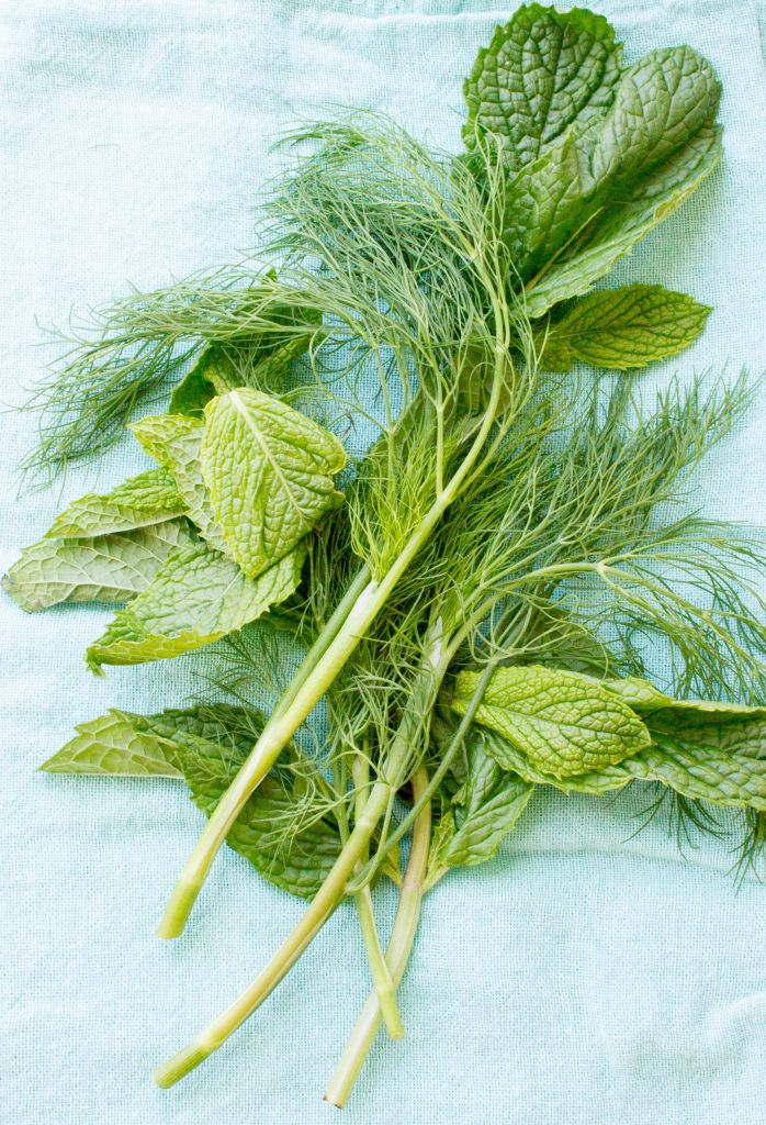 Fresh Mint & Dill are suggested for this recipe but dried herbs can be used in a pinch! Just make sure to leave Tzatziki in the fridge for longer to let the dried herbs soften into the spread.