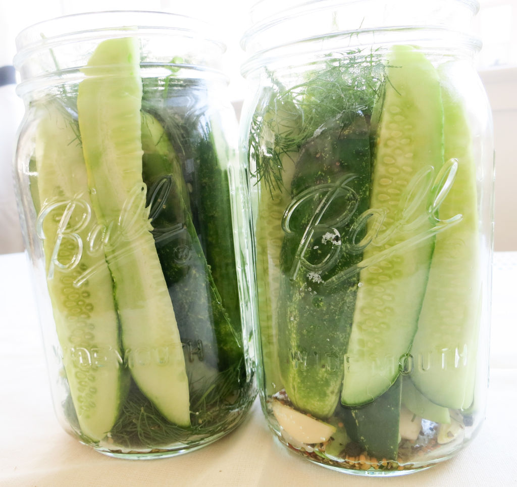 BE CAREFUL NOT TO CRUSH THE CUCUMBERS WHEN PUTTING THEM IN THE JAR